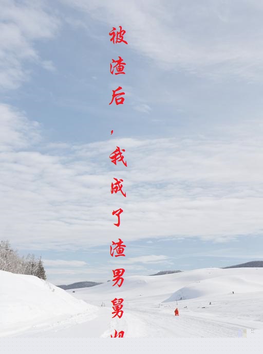 被渣后,我成了渣男舅妈