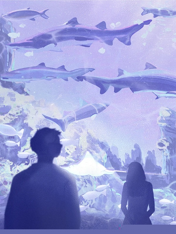 中秋回乡，舅妈却要我让出女友