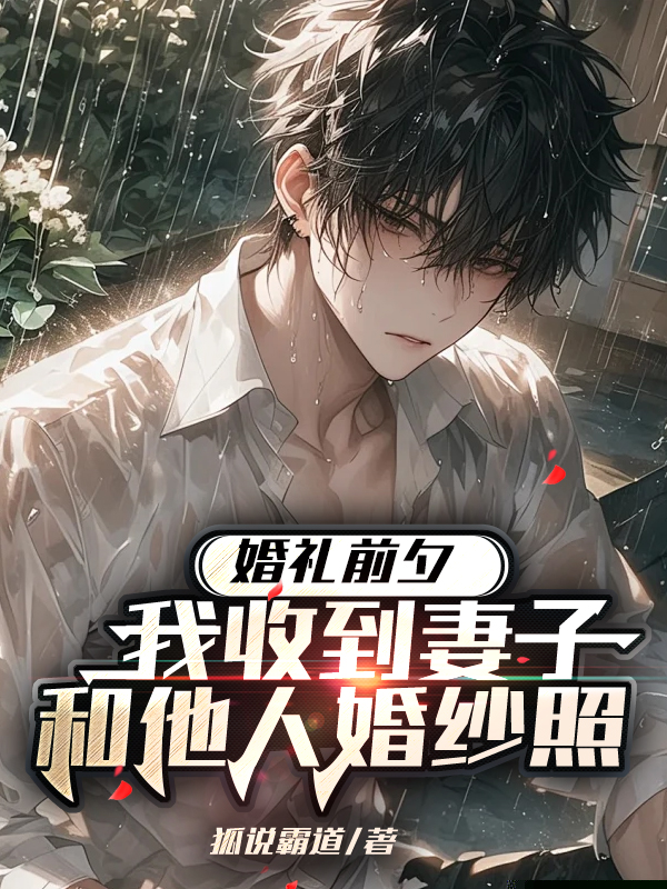 婚礼前夕，妻子助理发来两人的结婚照