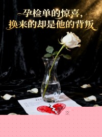 孕检单的惊喜，换来的却是他的背叛