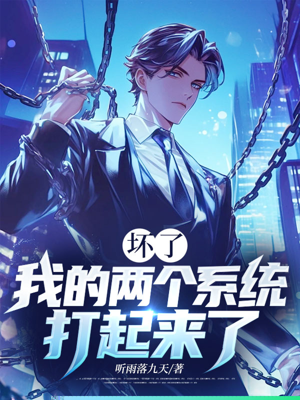 坏了，我的两个系统打起来了