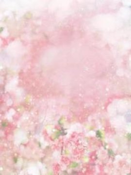 陆先生的蜜婚陷阱