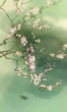 涅槃王妃哪里跑