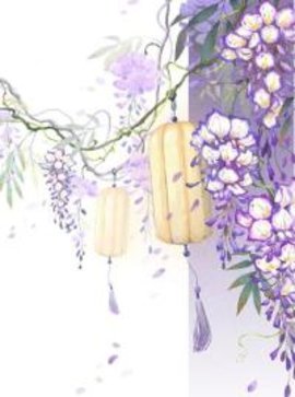 敬你美人在怀，断我柔情