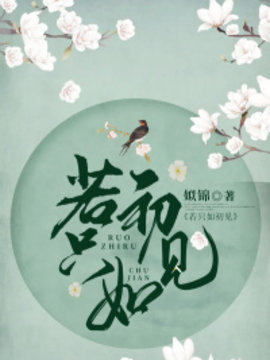 若只如初见