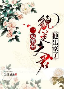 一觉醒来貌美夫君他出家了