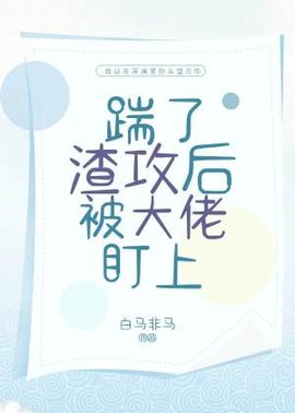 踹了渣攻后被大佬盯上