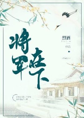 将军在下