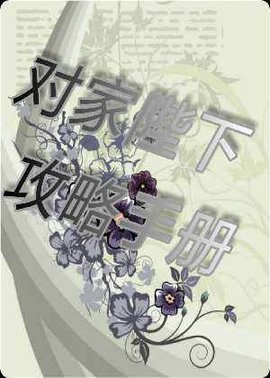 对家陛下攻略手册