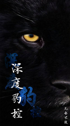 深度豹控