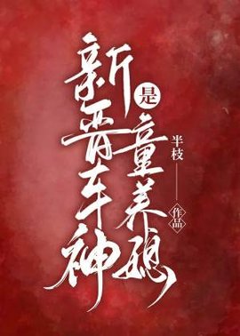 新晋车神是童养媳