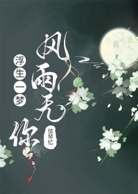浮生一梦，风雨无你