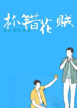 抓错花贼