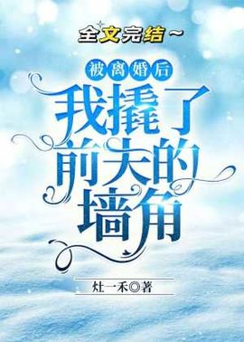 被离婚后我撬了前夫的墙角