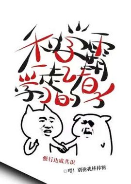 和学霸一起学习的日子