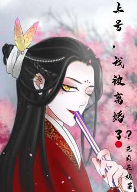 上号，我被离婚了？