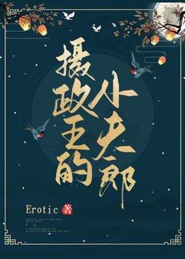 摄政王的小夫郎