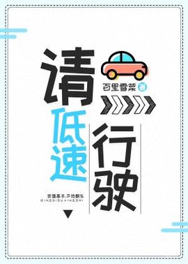 请低速行驶