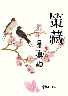 策藏是真的