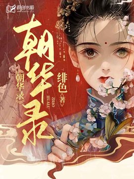 朝华录