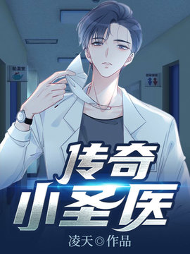 传奇小圣医