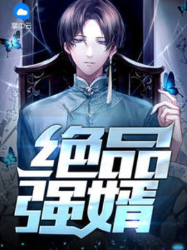 绝品强婿