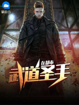 武道圣手在都市