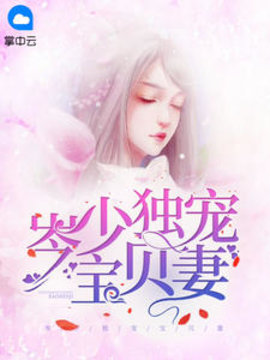 岑少独宠宝贝妻