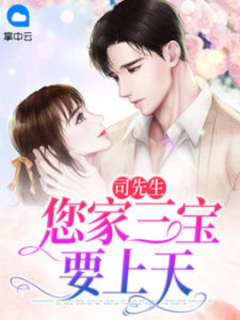 宁无悔司擎夜