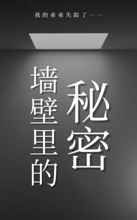 弟弟被砌进墙里的小说