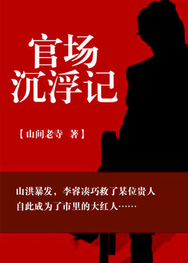 官场沉浮记