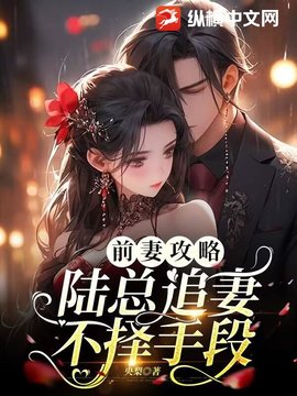 时夏陆迟渊