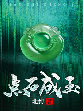 林飞赌石小说