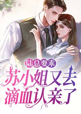 苏染陆景行