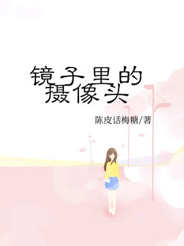镜子里的摄像头