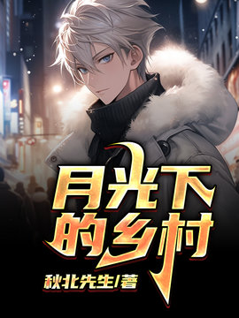 月光下的乡村
