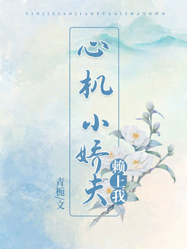心机小娇夫赖上我