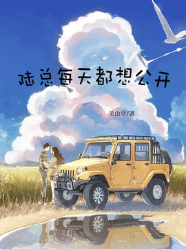 陆总每天都想公开