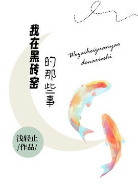 我在黑砖窑的那些事