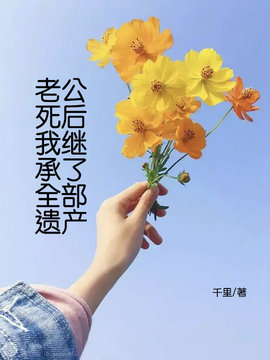 老公死后，我继承了全部遗产