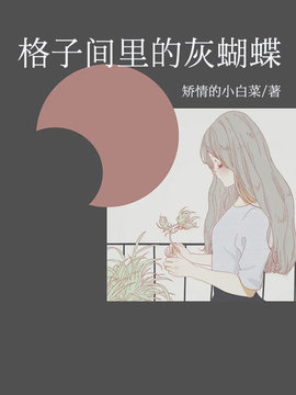 格子间里的灰蝴蝶