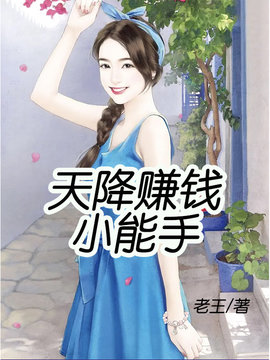 天降赚钱小能手