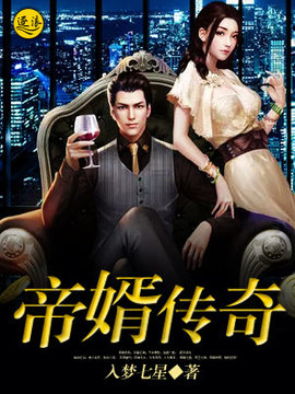 帝婿传奇